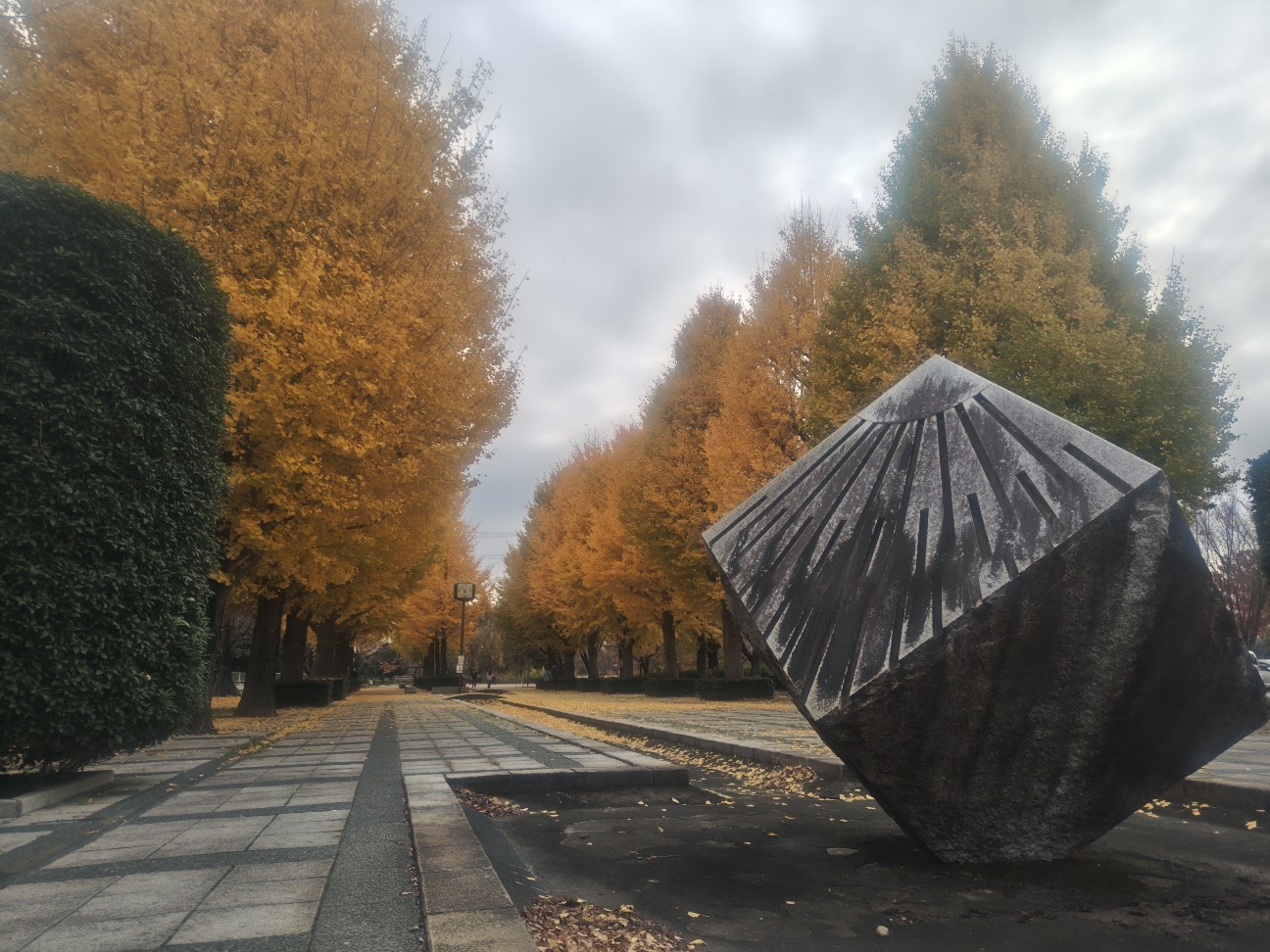 f:id:akaitubasa:20251123225838j:image