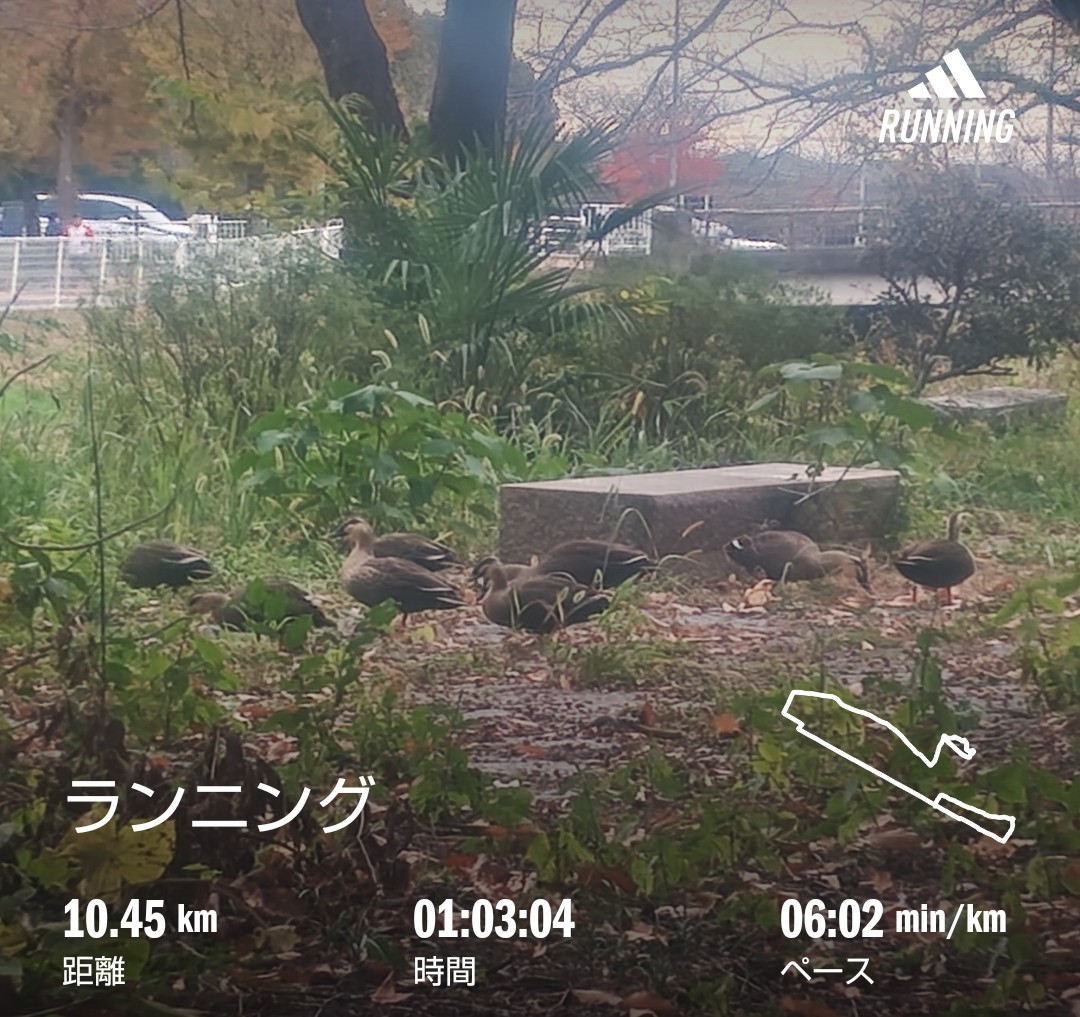 f:id:akaitubasa:20251123232204j:image