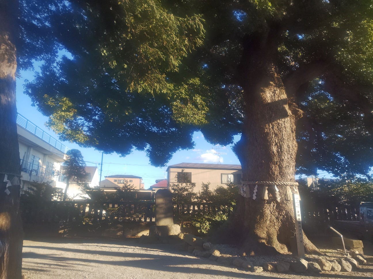 f:id:akaitubasa:20260103232221j:image f:id:akaitubasa:20260103232221j:image