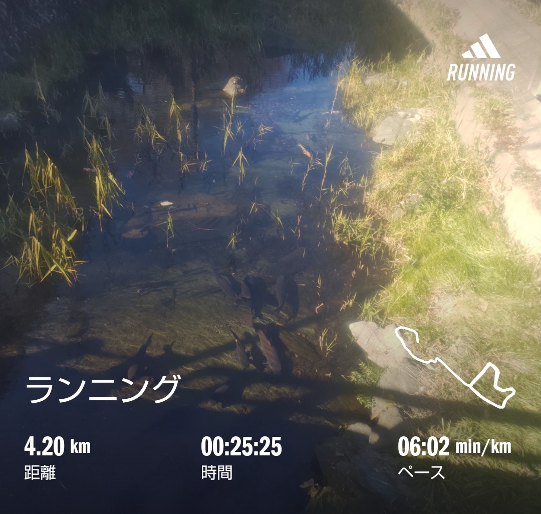 f:id:akaitubasa:20260111205602j:image f:id:akaitubasa:20260111205602j:image