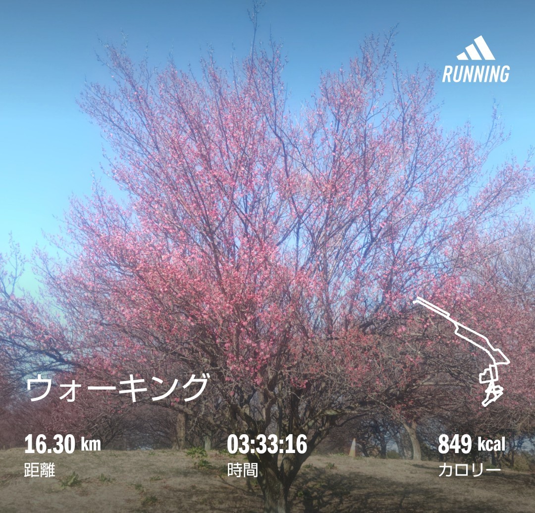 f:id:akaitubasa:20260117211220j:image f:id:akaitubasa:20260117211220j:image