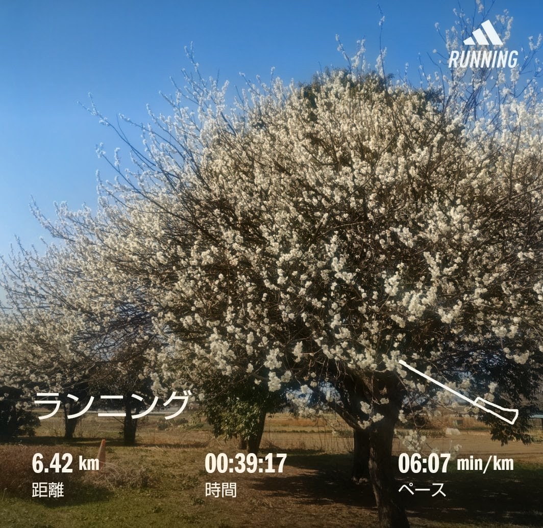 f:id:akaitubasa:20260405083906j:image