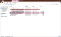 【Flash Video Downloader】 日本語化ファイル公開！
