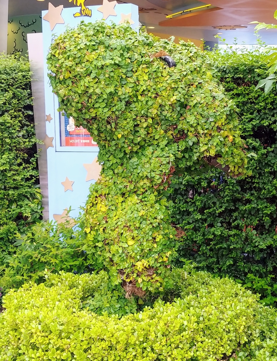 f:id:akalisa:20190705175438j:plain