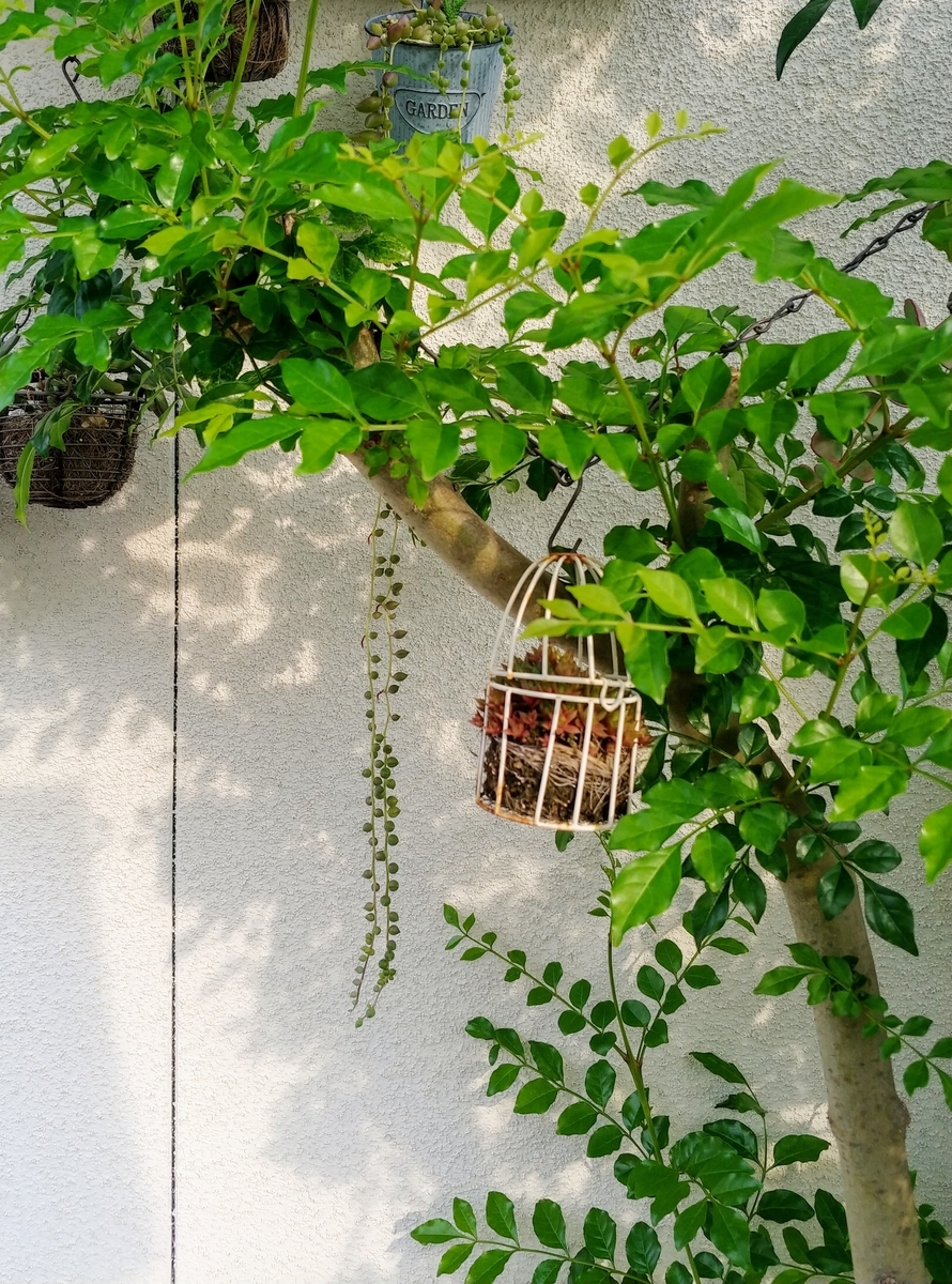 f:id:akalisa:20190722161833j:plain