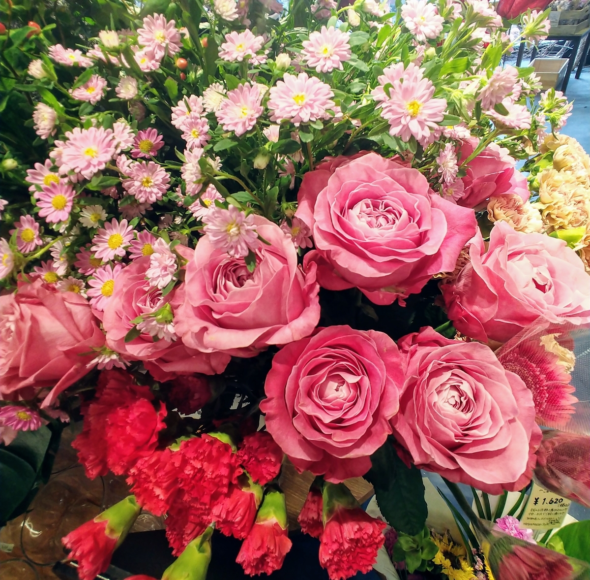 f:id:akalisa:20190723065929j:plain