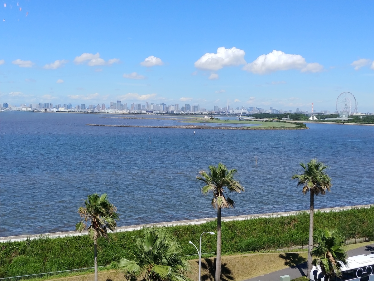 f:id:akalisa:20190807133643j:plain