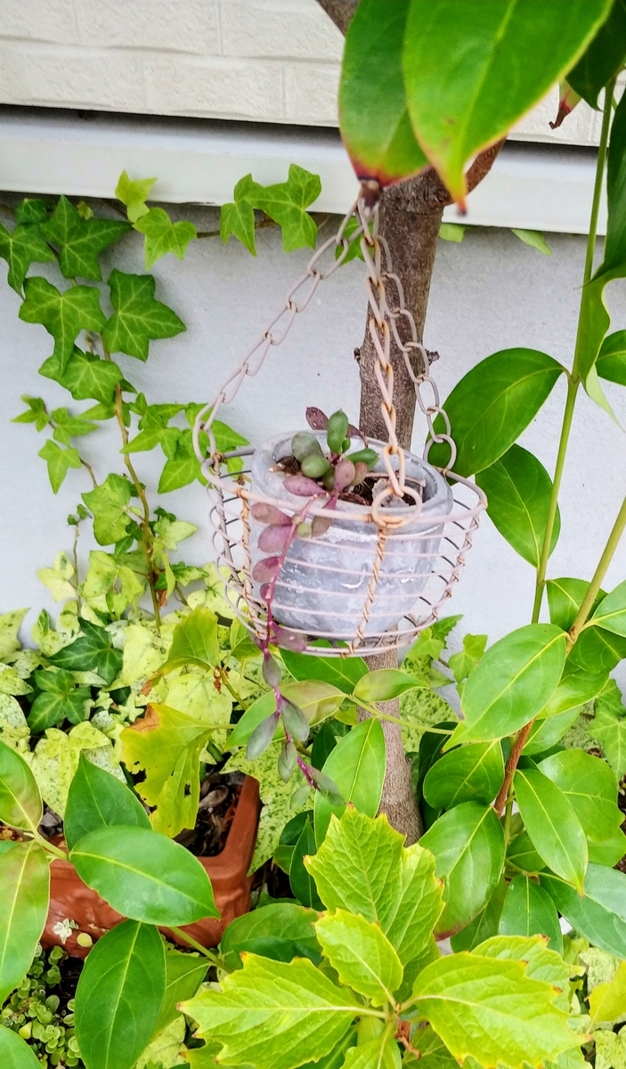 f:id:akalisa:20190823165304j:plain