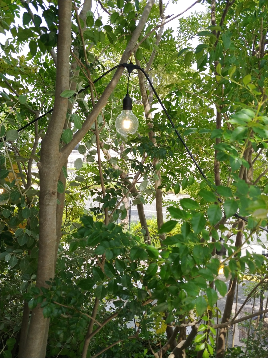 f:id:akalisa:20190824205037j:plain