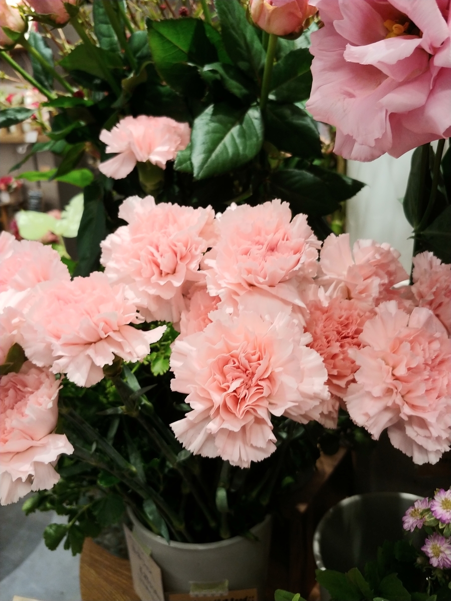 f:id:akalisa:20190928222824j:plain