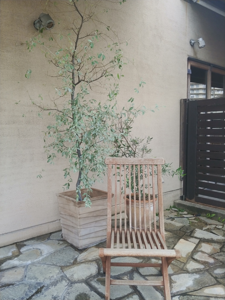 f:id:akalisa:20191011121236j:plain