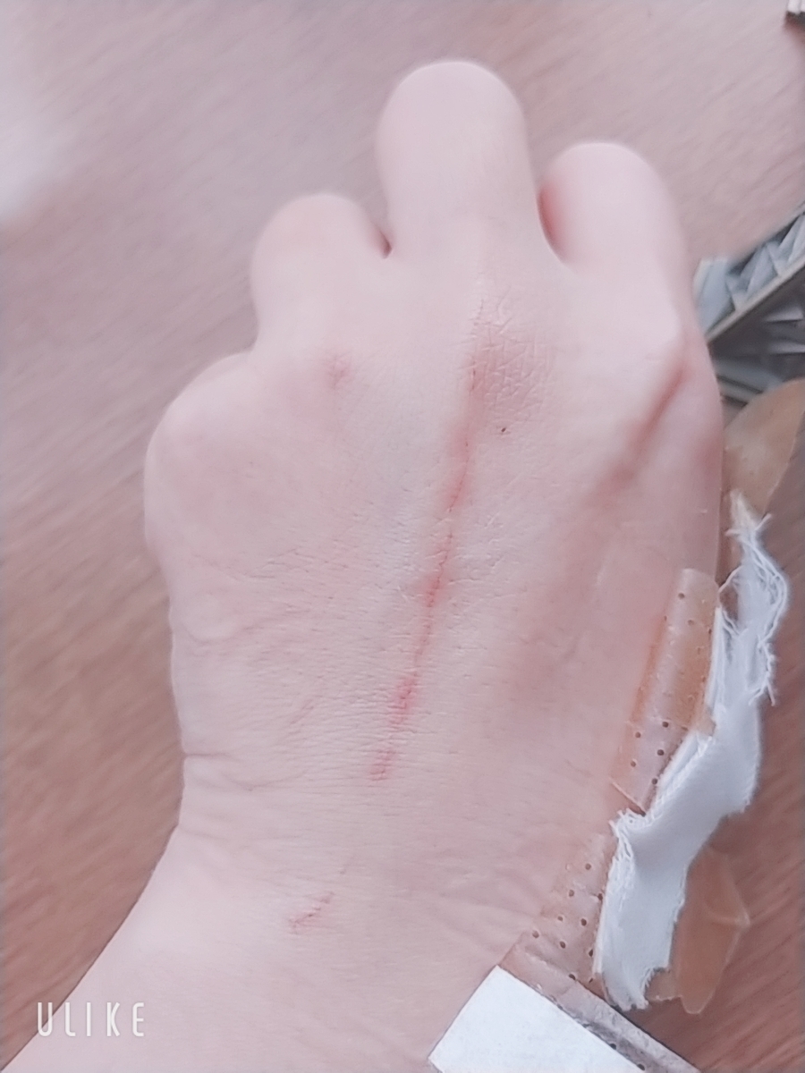 f:id:akalisa:20191202101525j:plain