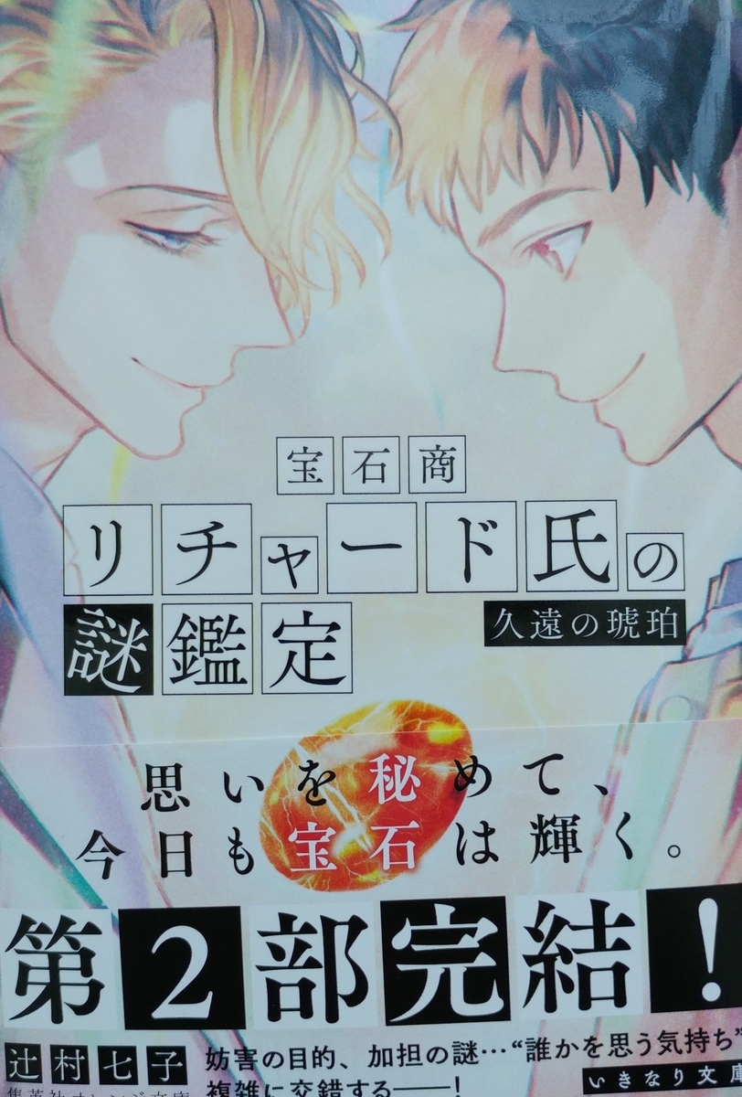 f:id:akalisa:20200623132512j:plain