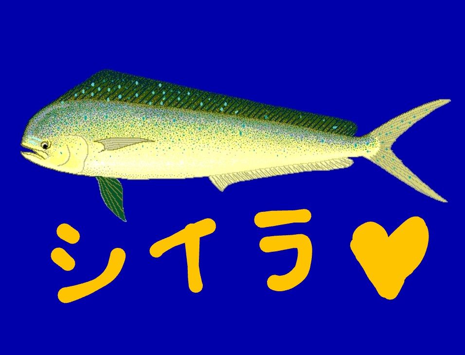 f:id:akalisa:20210427101348j:plain