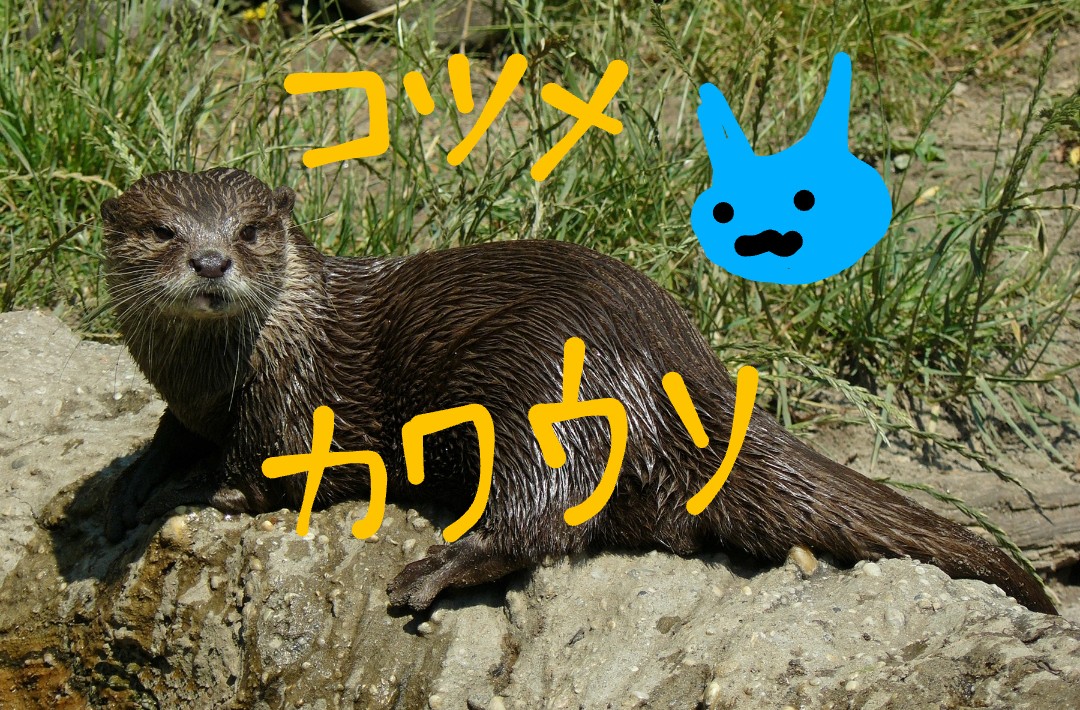 f:id:akalisa:20210902085856j:plain