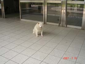 f:id:akamac:20070718102456j:image