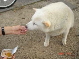f:id:akamac:20070727172027j:image:left
