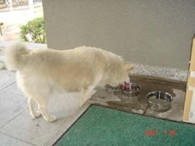 f:id:akamac:20070728161407j:image:left