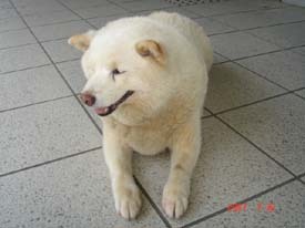 f:id:akamac:20070730162153j:image:left