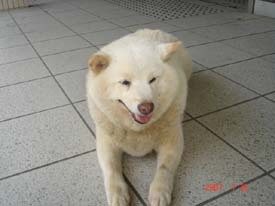 f:id:akamac:20070730162157j:image:right