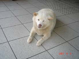 f:id:akamac:20070808095646j:image:left