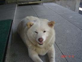f:id:akamac:20070812163127j:image:right