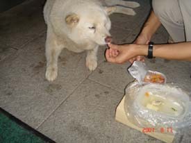 f:id:akamac:20070817172032j:image:right