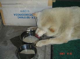 f:id:akamac:20070820131608j:image:left