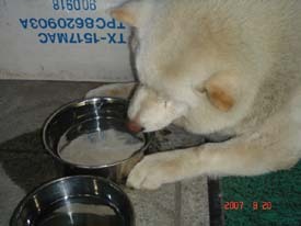 f:id:akamac:20070820131616j:image:right