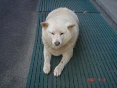 f:id:akamac:20070912172948j:image:left