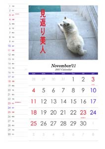 f:id:akamac:20071101164701j:image