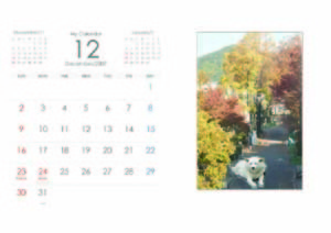 f:id:akamac:20071130170756j:image