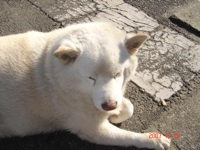 f:id:akamac:20071226123003j:image