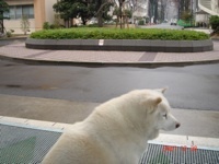 f:id:akamac:20071228102538j:image