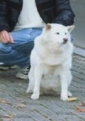 hana080110-2