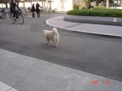 f:id:akamac:20080116130936j:image