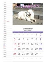 f:id:akamac:20080125185237j:image