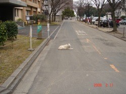 f:id:akamac:20080211140641j:image