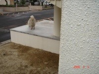 f:id:akamac:20080304092642j:image
