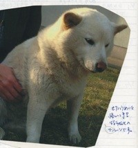 f:id:akamac:20080308153834j:image
