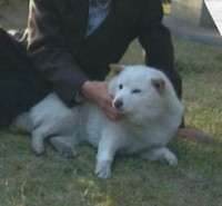 f:id:akamac:20080308153838j:image