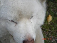 f:id:akamac:20080404155657j:image f:id:akamac:20080404155657j:image