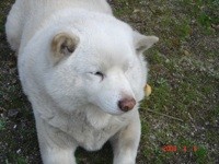 f:id:akamac:20080404155711j:image f:id:akamac:20080404155711j:image