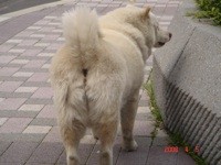 f:id:akamac:20080405142648j:image