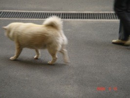 f:id:akamac:20080515171421j:image