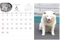 f:id:akamac:20080530184948j:image
