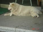f:id:akamac:20080714125221j:image