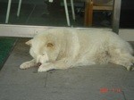 f:id:akamac:20080714125236j:image
