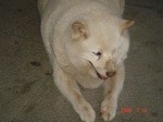 f:id:akamac:20080718190625j:image