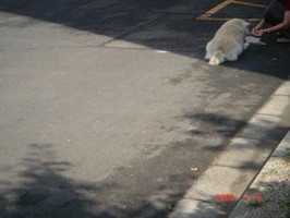 f:id:akamac:20080916094444j:image